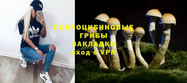 винт Семилуки